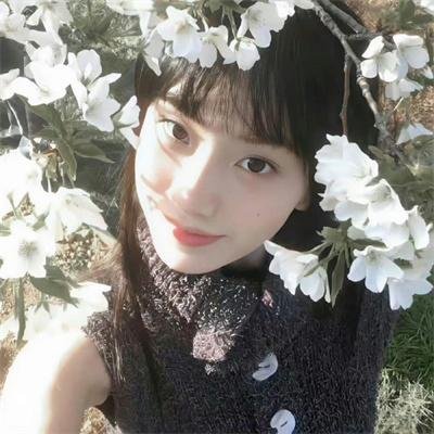 惊青三人组